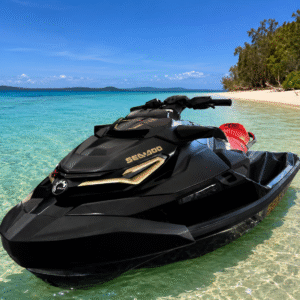 Seadoo 2025 GTX 230